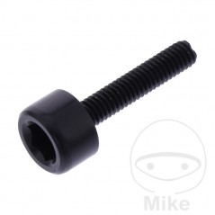 JMP Tornillo cilíndrico cabeza hexagonal de aluminio M4X0.7 MM Ø10 775.10.82VAR