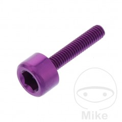 JMP Tornillo cilíndrico cabeza hexagonal de aluminio M4X0.7 MM Ø10 775.10.82VAR