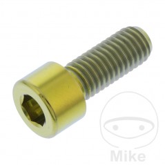 JMP Tornillo cilíndrico cabeza hexagonal de titanio M8X1.25 MM 775.17.99VAR