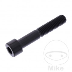 JMP Tornillo cilíndrico cabeza hexagonal de titanio M8X1.25 MM 775.17.99VAR