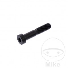 JMP Stainless steel hexagon head cylindrical screw M8X1.25 MM 40 775.42.38
