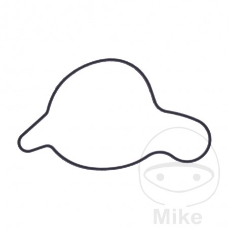 Water pump cover gasket OEM 7348355