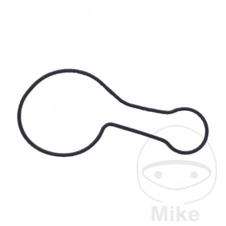 Water pump cover gasket OEM 7348356