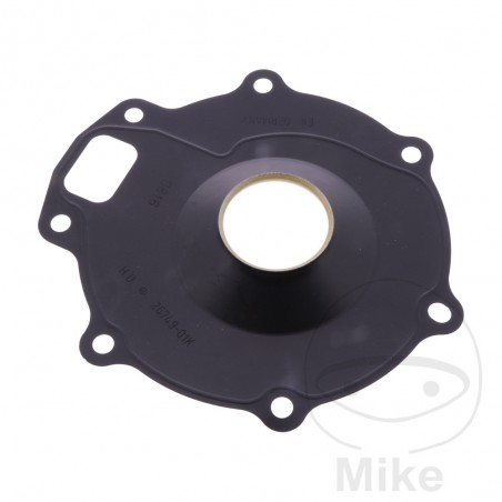 Water pump cover gasket OEM 7348364