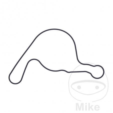 Water pump cover gasket OEM 7348367