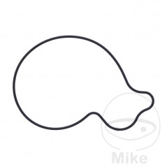 Water pump cover gasket OEM 7348371