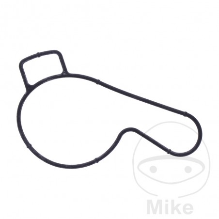 Water pump cover gasket OEM 7348379