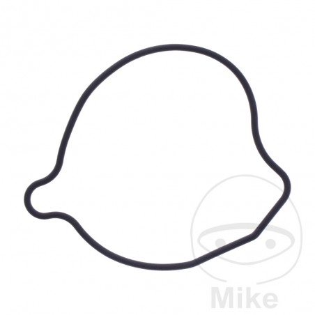 Water pump cover gasket OEM 7348387
