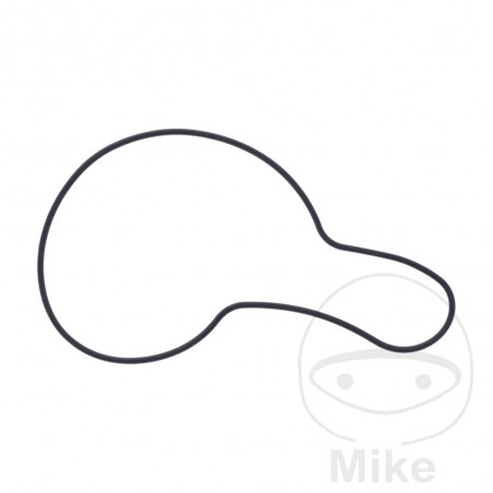 Water pump cover gasket OEM 7348388