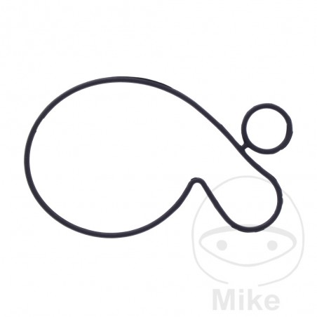 Water pump cover gasket OEM 7348389