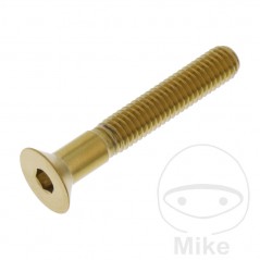JMP Tornillo acero inoxidable cabeza avellanada M6X1.00 MM 775.31.05VAR