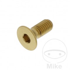 JMP Tornillo acero inoxidable cabeza avellanada M6X1.00 MM 775.31.05VAR