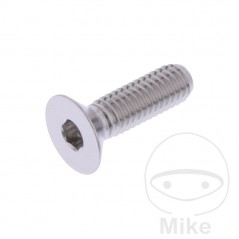 JMP Tornillo acero inoxidable cabeza avellanada M6X1.00 MM 775.31.05VAR