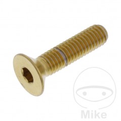 JMP Tornillo acero inoxidable cabeza avellanada M6X1.00 MM 775.31.05VAR