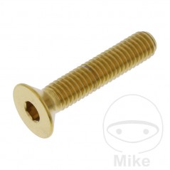 JMP Tornillo acero inoxidable cabeza avellanada M6X1.00 MM 775.31.05VAR