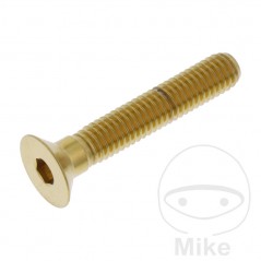 JMP Tornillo acero inoxidable cabeza avellanada M6X1.00 MM 775.31.05VAR