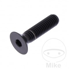 JMP Tornillo titanio cabeza avellanada M5X0.8 MM 775.42.58VAR