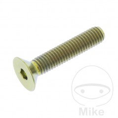 JMP Tornillo titanio cabeza avellanada M5X0.8 MM 775.42.58VAR