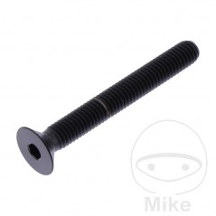 JMP Tornillo titanio cabeza avellanada M5X0.8 MM 775.42.58VAR