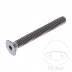 JMP Tornillo titanio cabeza avellanada M5X0.8 MM 775.42.58VAR