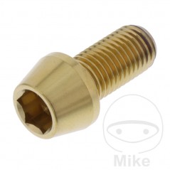 JMP Stainless steel conical screw M10X1.25 MM 775.32.54VAR