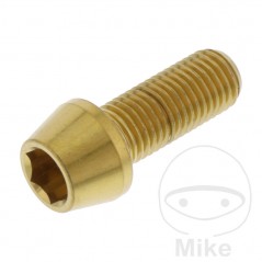 JMP Stainless steel conical screw M10X1.25 MM 775.32.54VAR