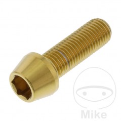 JMP Stainless steel conical screw M10X1.25 MM 775.32.54VAR