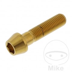 JMP Stainless steel conical screw M10X1.25 MM 775.32.54VAR