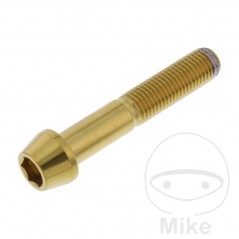 JMP Stainless steel conical screw M10X1.25 MM 775.32.54VAR