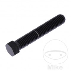 JMP Tornillo de ajuste eje acero inoxidable M8X1.25 MM V4A 775.33.00VAR