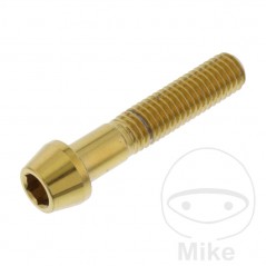 JMP Tornillo cónico acero inoxidable M8X1.25 MM 775.42.16VAR
