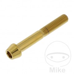 JMP Tornillo cónico acero inoxidable M8X1.25 MM 775.42.16VAR