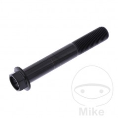 JMP Tornillo hexagonal titanio M12X1.25 MM 775.16.84VAR