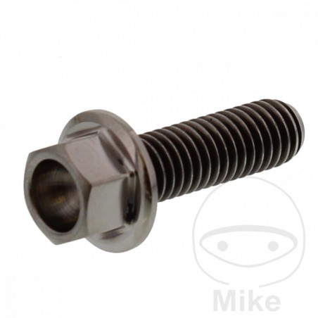 JMP titanium hex bolt M6X1.00 MM 20 775.87.08