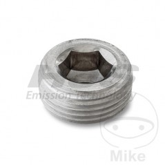 Closing screw for lambda probe support 378.49.95