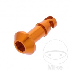 JMP Fairing quick closing screw ALLEN 775.20.38VAR