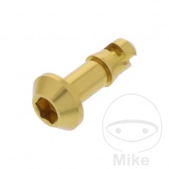 JMP Fairing quick closing screw ALLEN 775.20.38VAR