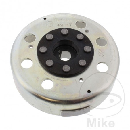 Alternator Pulley/Rotor OEM 700.19.93