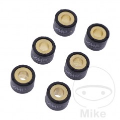JMP Set of 6 variator rollers 13.0 G 18 X 14 MM 783.03.61