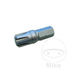 CONDOR Punta de destornillador para tornillos RIBE M8 10 MM 40 632.39.43
