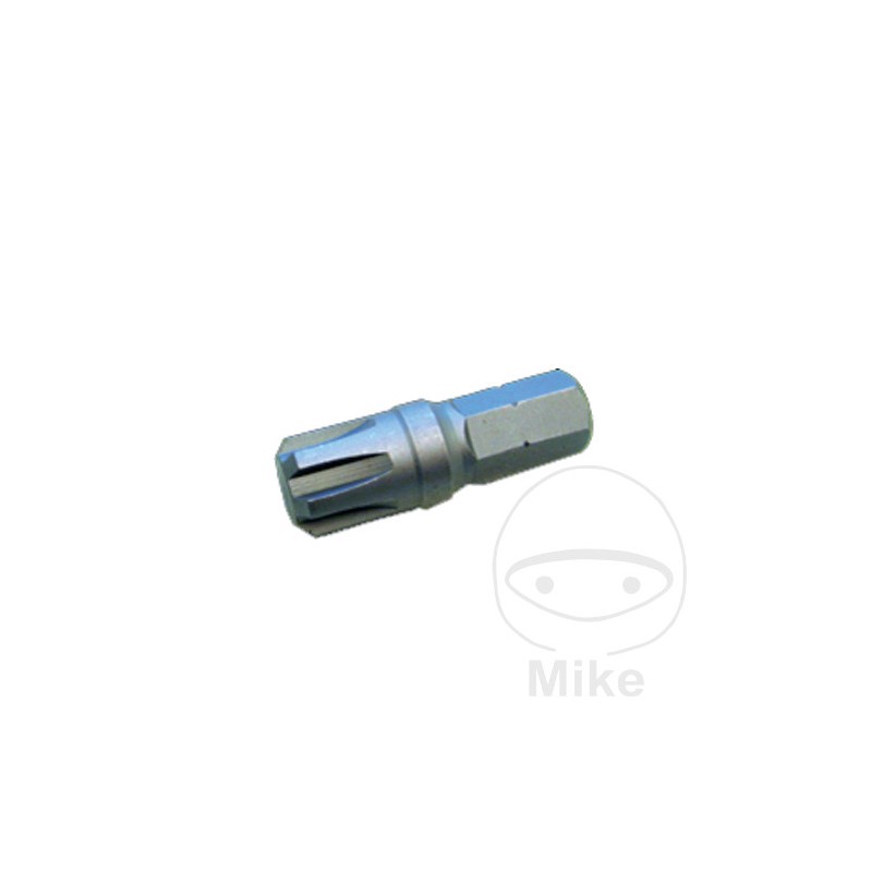 CONDOR Punta de destornillador para tornillos RIBE M8 10 MM 40 632.39.43