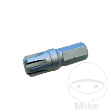 CONDOR Screwdriver bit for screws RIBE M11 10 MM 40 632.39.76