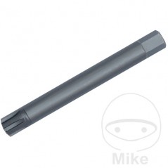 CONDOR Punta de destornillador para tornillos RIBE M7 10 MM 75 632.40.24