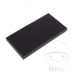 FOAM AIR FILTER OEM 7232968