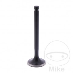 Válvula de escape 747.13.75