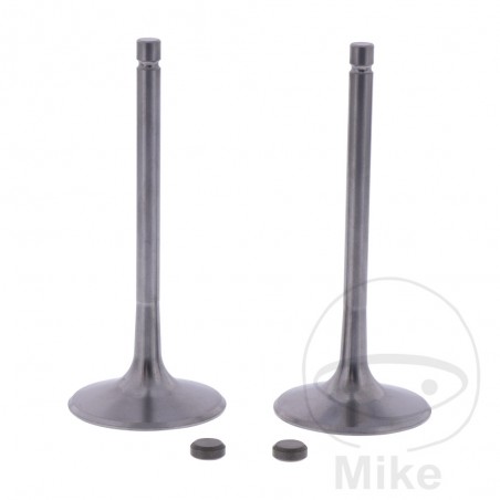 intake valve set OEM 747.14.31