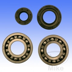 ATHENA Crankshaft bearing set 7563539