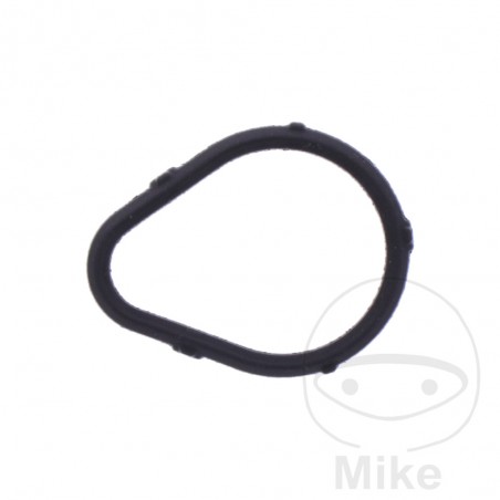 Timing chain tensioner gasket OEM 7348324