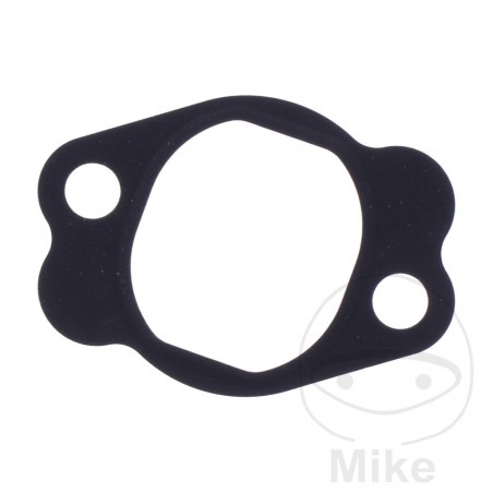 Timing chain tensioner gasket OEM 7348332