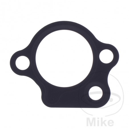 Timing chain tensioner gasket OEM 7348334